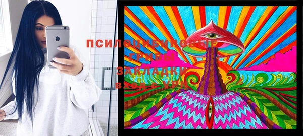 ECSTASY Пересвет