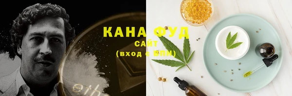 ECSTASY Пересвет