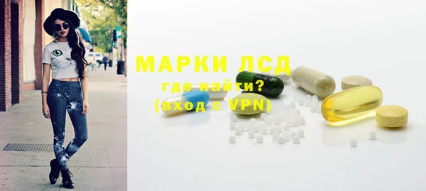 ECSTASY Пересвет
