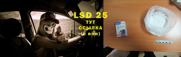ECSTASY Пересвет