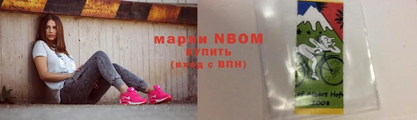 ECSTASY Пересвет