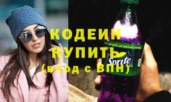 ECSTASY Пересвет
