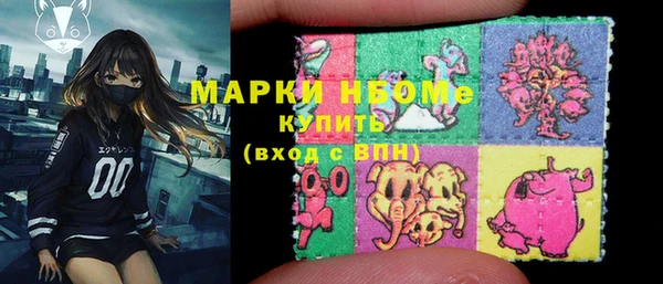 ECSTASY Пересвет