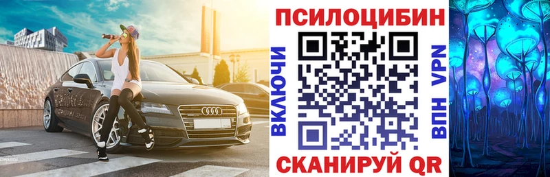 Псилоцибиновые грибы прущие грибы  Купить закладки  Шелехов 